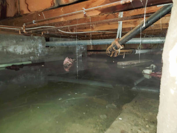 Best Water damage restoration near me  in San Joaquin, CA