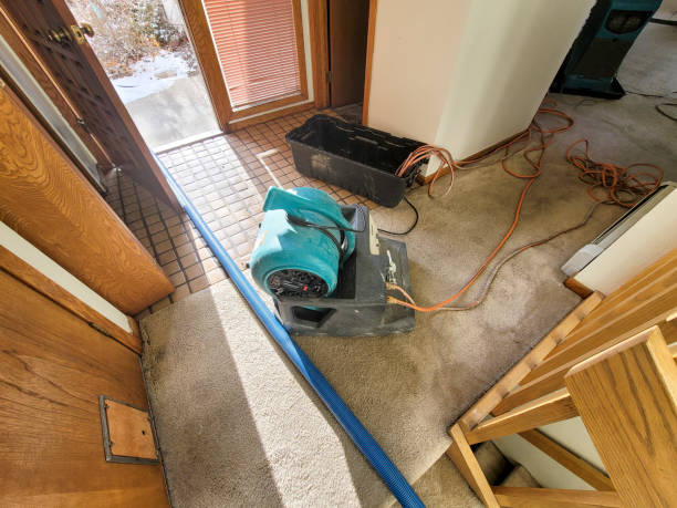 Best Mold removal after water damage  in San Joaquin, CA