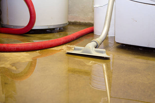 Best Water damage cleanup near me  in San Joaquin, CA